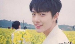 娱乐圈吃瓜cp博君一肖,娱乐圈的甜蜜瓜田，CP互动引粉丝狂欢